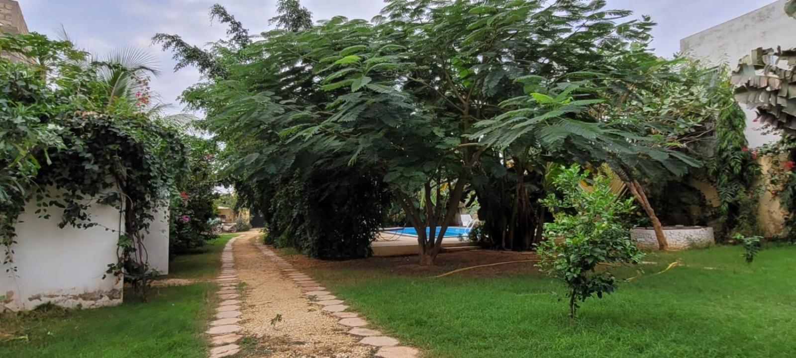 סומון Villa Saraba מראה חיצוני תמונה